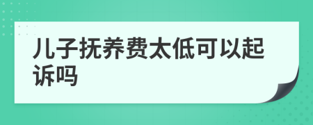 儿子抚养费太低可以起诉吗