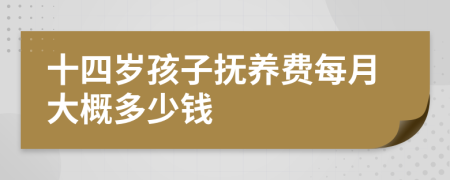 十四岁孩子抚养费每月大概多少钱