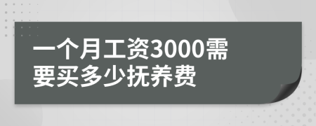 一个月工资3000需要买多少抚养费