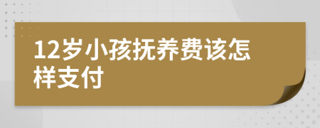 12岁小孩抚养费该怎样支付