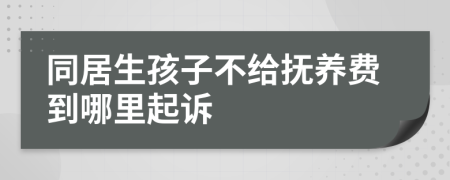 同居生孩子不给抚养费到哪里起诉