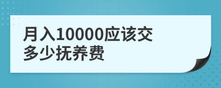 月入10000应该交多少抚养费