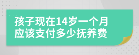 孩子现在14岁一个月应该支付多少抚养费