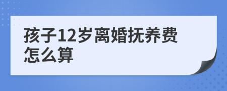 孩子12岁离婚抚养费怎么算