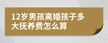 12岁男孩离婚孩子多大抚养费怎么算