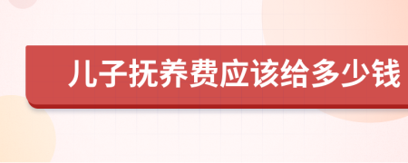 儿子抚养费应该给多少钱