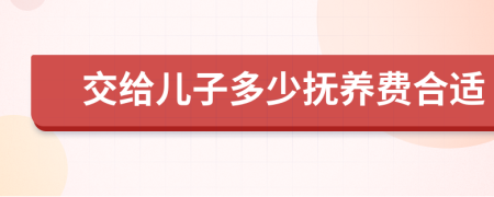 交给儿子多少抚养费合适