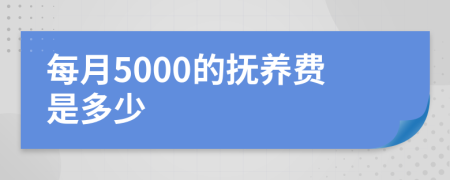 每月5000的抚养费是多少