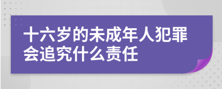 十六岁的未成年人犯罪会追究什么责任