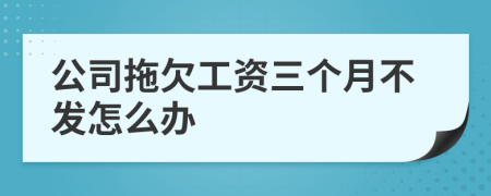 公司拖欠工资三个月不发怎么办