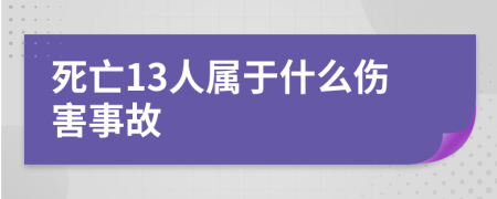 死亡13人属于什么伤害事故