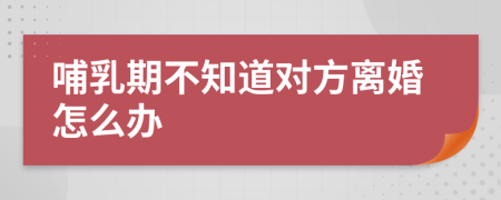 哺乳期不知道对方离婚怎么办