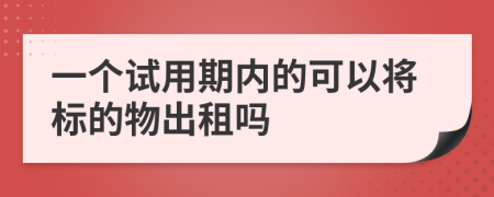 一个试用期内的可以将标的物出租吗