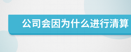 公司会因为什么进行清算