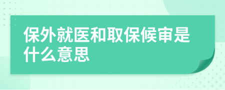 保外就医和取保候审是什么意思