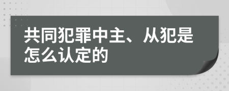 共同犯罪中主、从犯是怎么认定的