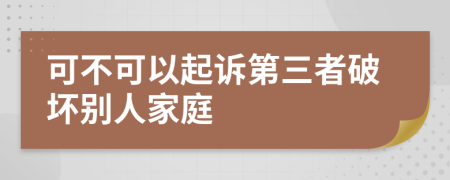 可不可以起诉第三者破坏别人家庭