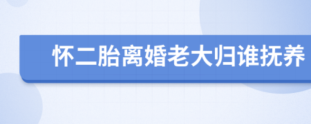 怀二胎离婚老大归谁抚养