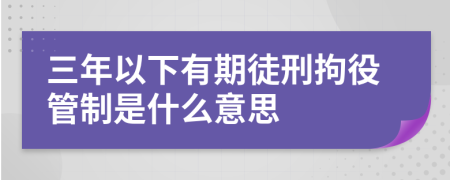 三年以下有期徒刑拘役管制是什么意思