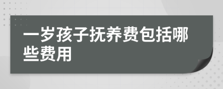 一岁孩子抚养费包括哪些费用