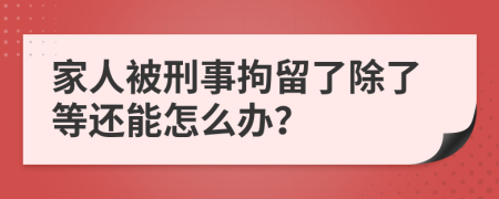 家人被刑事拘留了除了等还能怎么办？