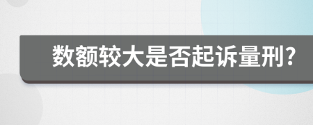 数额较大是否起诉量刑?