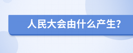 人民大会由什么产生？