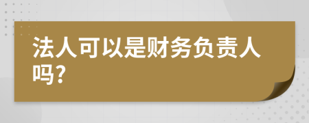 法人可以是财务负责人吗?