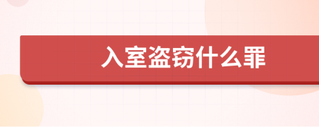 入室盗窃什么罪