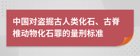 中国对盗掘古人类化石、古脊椎动物化石罪的量刑标准