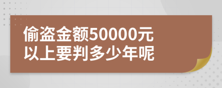 偷盗金额50000元以上要判多少年呢