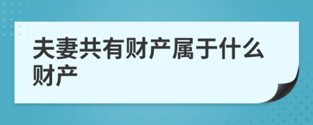 夫妻共有财产属于什么财产