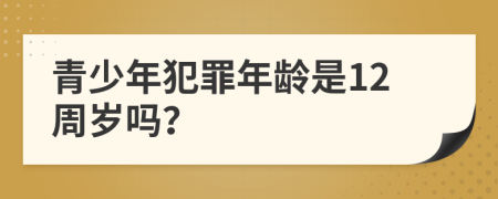青少年犯罪年龄是12周岁吗？