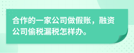 合作的一家公司做假账，融资公司偷税漏税怎样办。