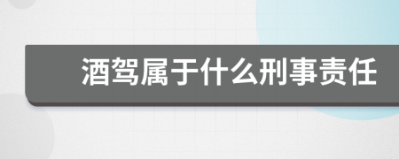 酒驾属于什么刑事责任