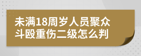 未满18周岁人员聚众斗殴重伤二级怎么判