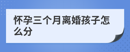 怀孕三个月离婚孩子怎么分