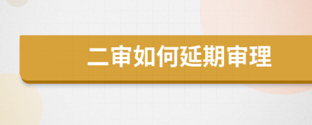 二审如何延期审理