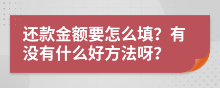 还款金额要怎么填？有没有什么好方法呀？