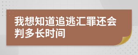 我想知道追逃汇罪还会判多长时间