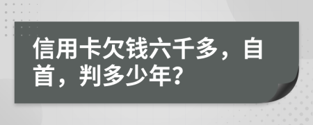 信用卡欠钱六千多，自首，判多少年？