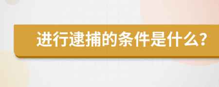 进行逮捕的条件是什么？