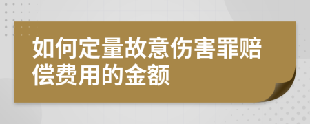 如何定量故意伤害罪赔偿费用的金额