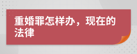 重婚罪怎样办，现在的法律