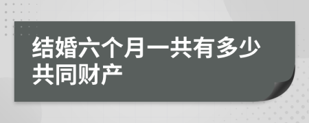 结婚六个月一共有多少共同财产