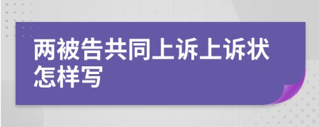 两被告共同上诉上诉状怎样写