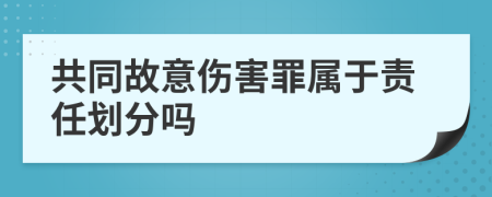 共同故意伤害罪属于责任划分吗