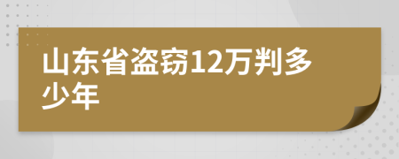 山东省盗窃12万判多少年