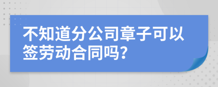 不知道分公司章子可以签劳动合同吗？