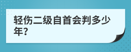 轻伤二级自首会判多少年？